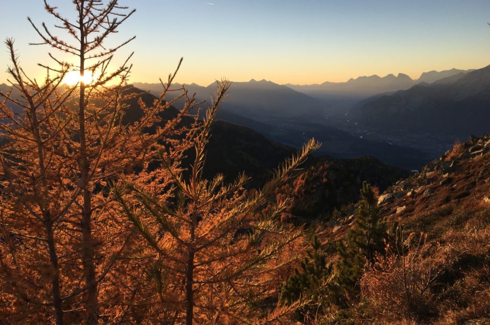 Berglauf Viggarspitze
